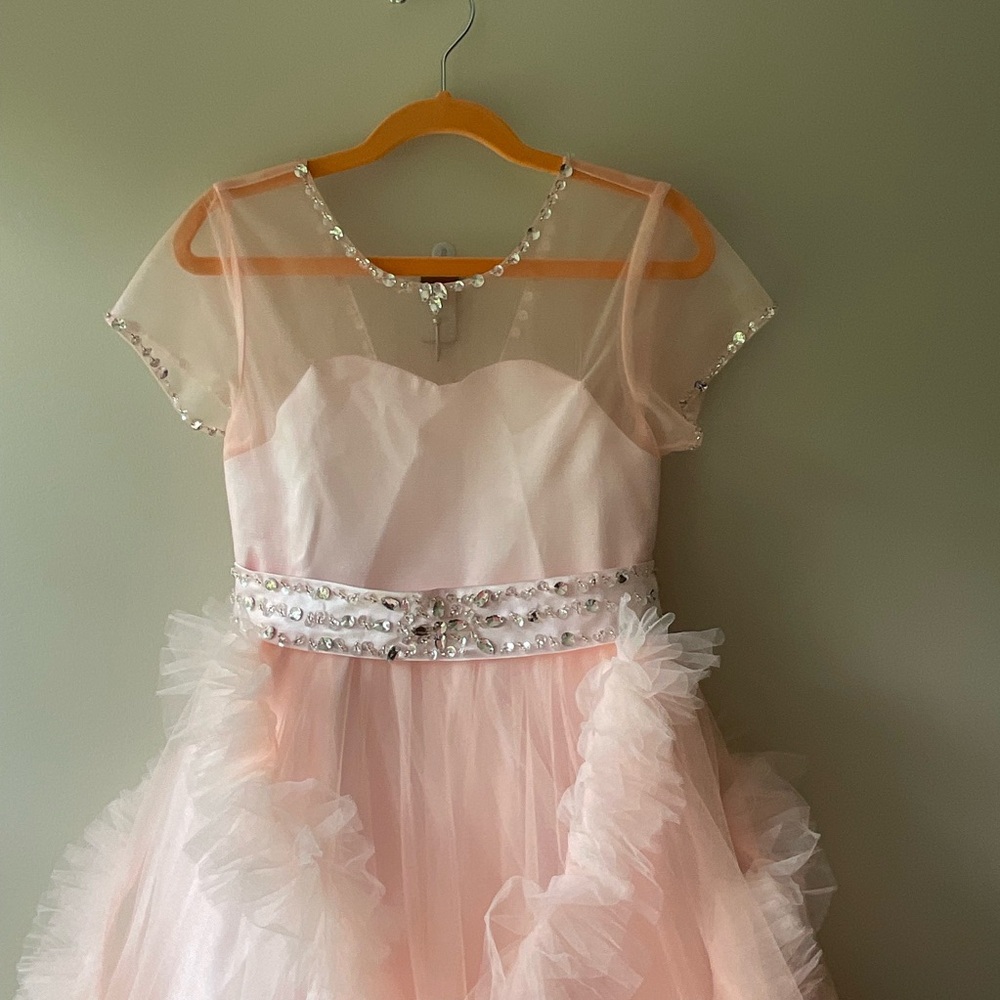 Pink Ruffled Gown with Flutter Sleeves - Picture 2 of 15